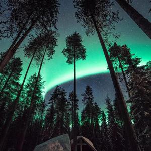 高质量新一代小豚导航
